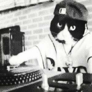 Meet your Posher, Hurley_365